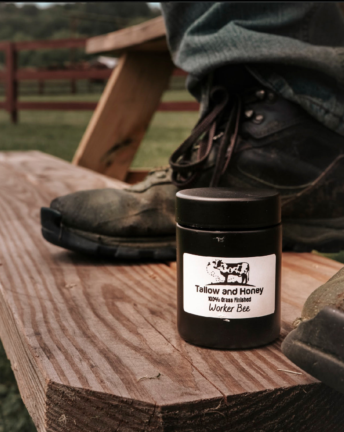 Worker Bee | Tallow Balm