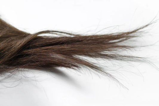 mooth dark brown hair strands showing shine and hydration from beef tallow treatment.