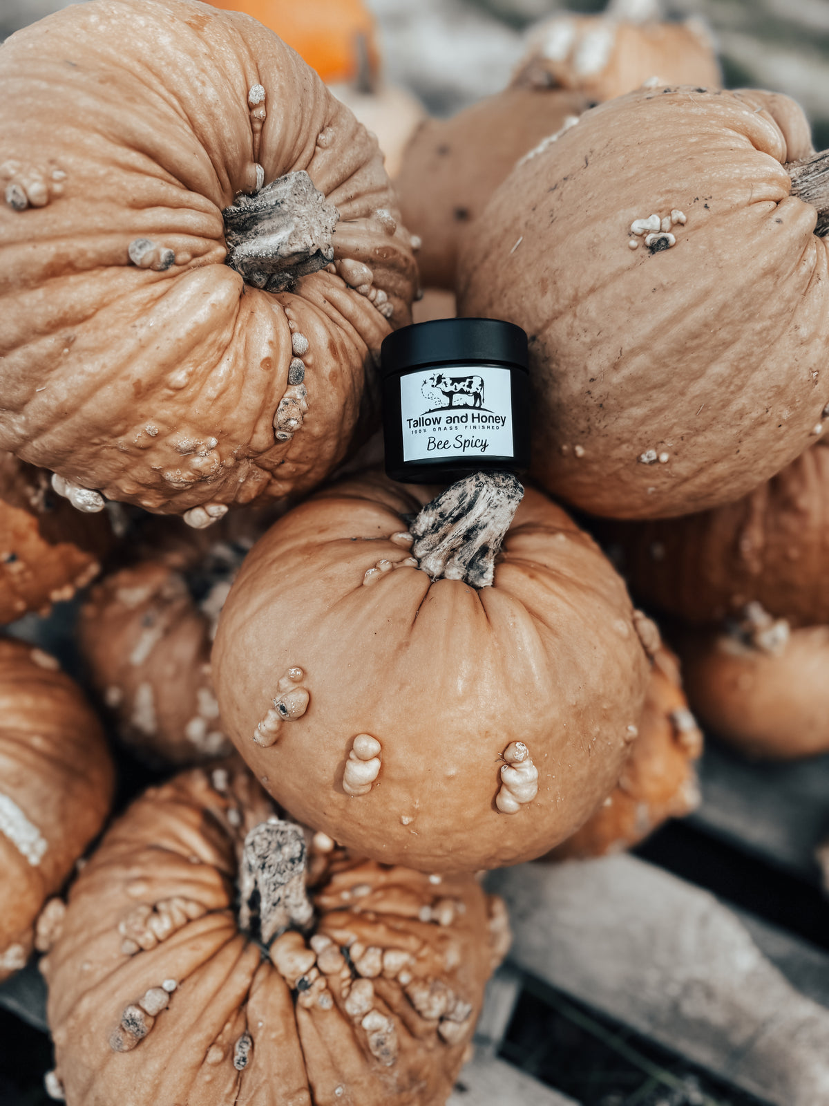 Bee Spicy | Pumpkin Spice Tallow Balm