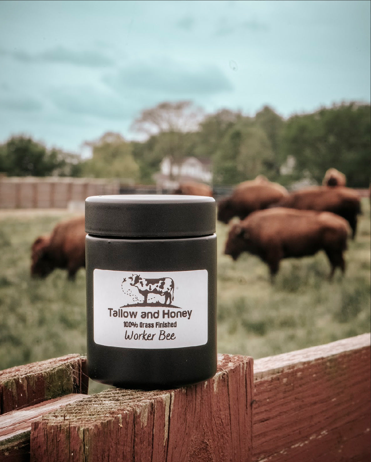 Worker Bee | Tallow Balm