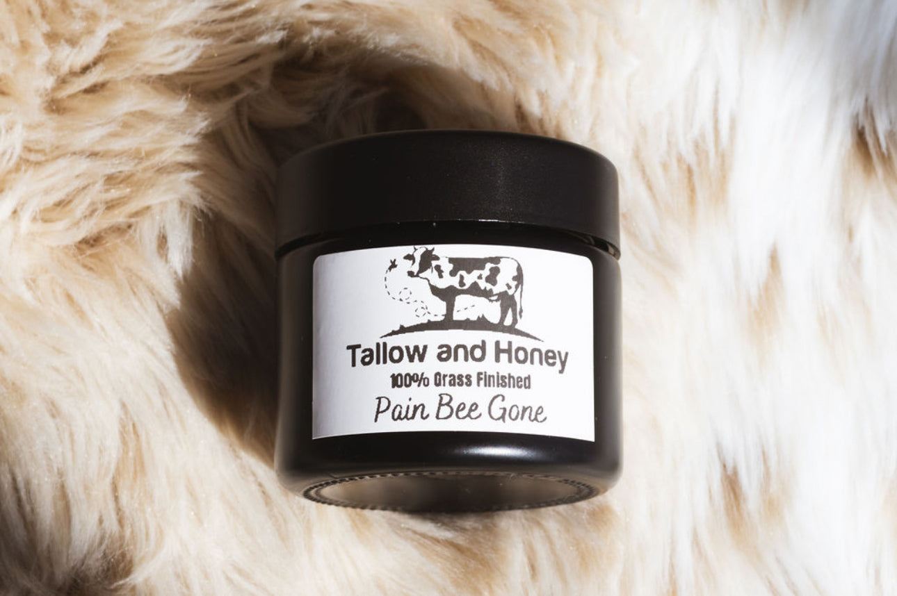 Pain Bee Gone | Tallow Balm
